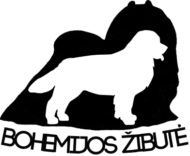 Bohemijos žibutės logo